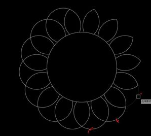 怎么用CAD畫一朵向日葵